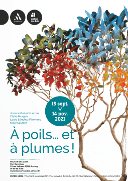 Affiche_PoilsetPlumes_30x42cm